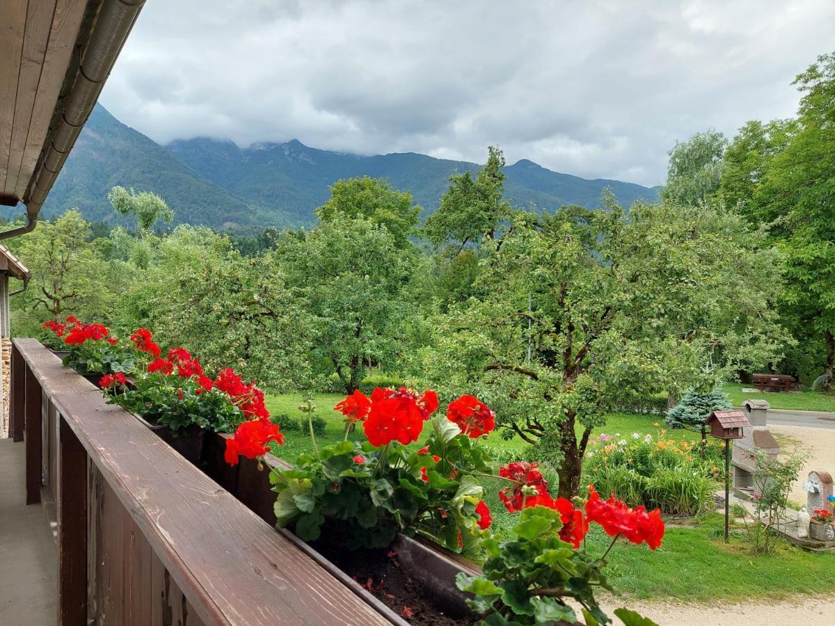 Apartments Susnik Bohinj Εξωτερικό φωτογραφία