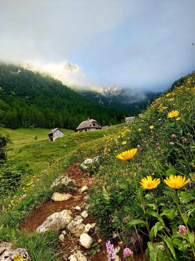 Apartments Susnik Bohinj Εξωτερικό φωτογραφία
