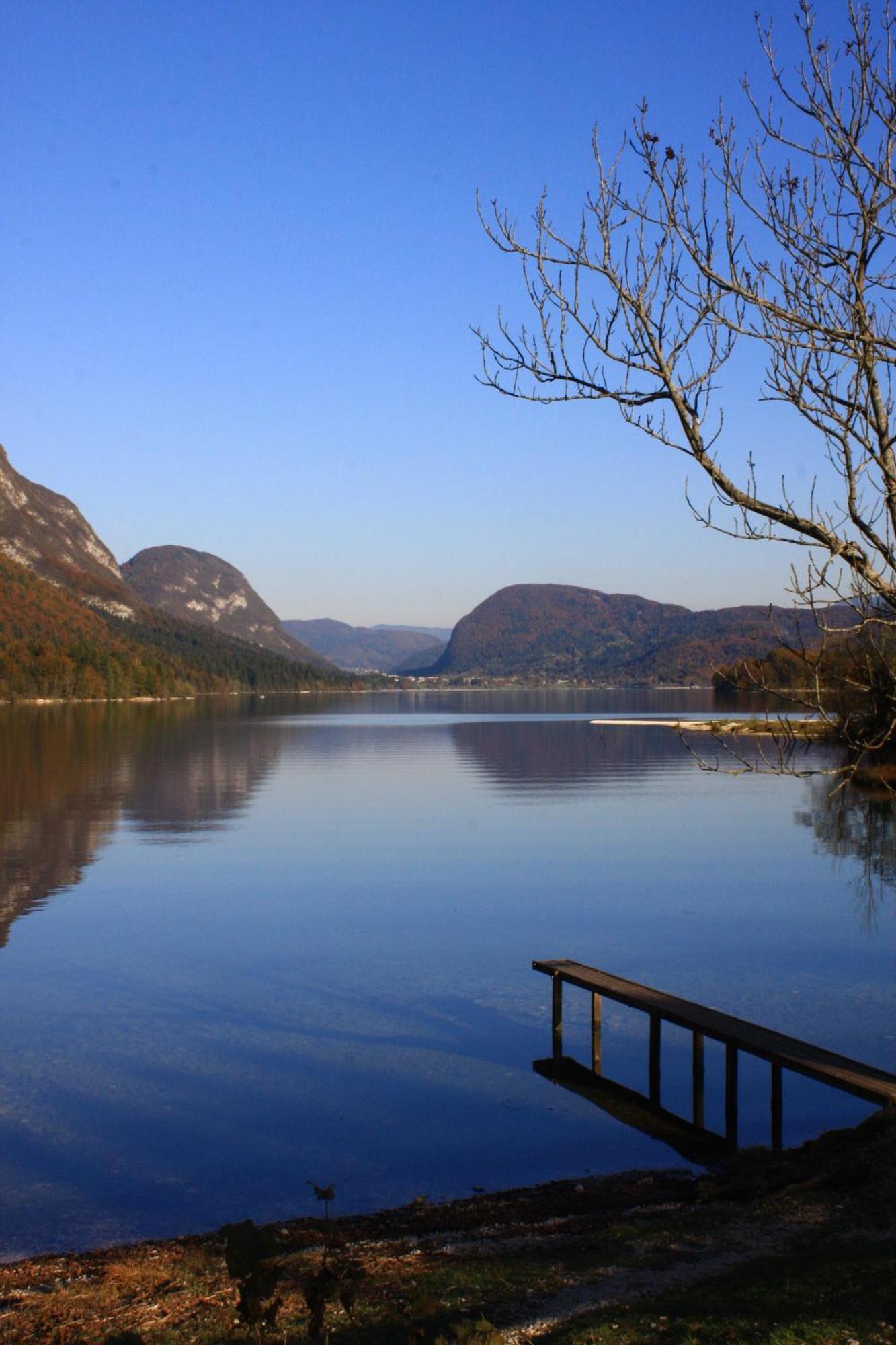 Apartments Susnik Bohinj Εξωτερικό φωτογραφία