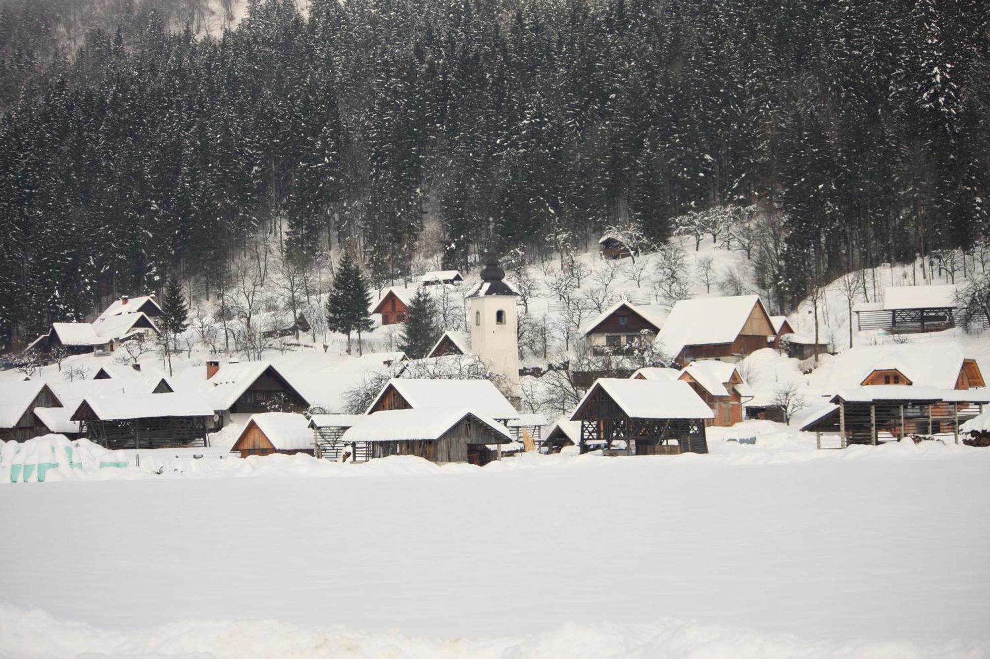 Apartments Susnik Bohinj Εξωτερικό φωτογραφία